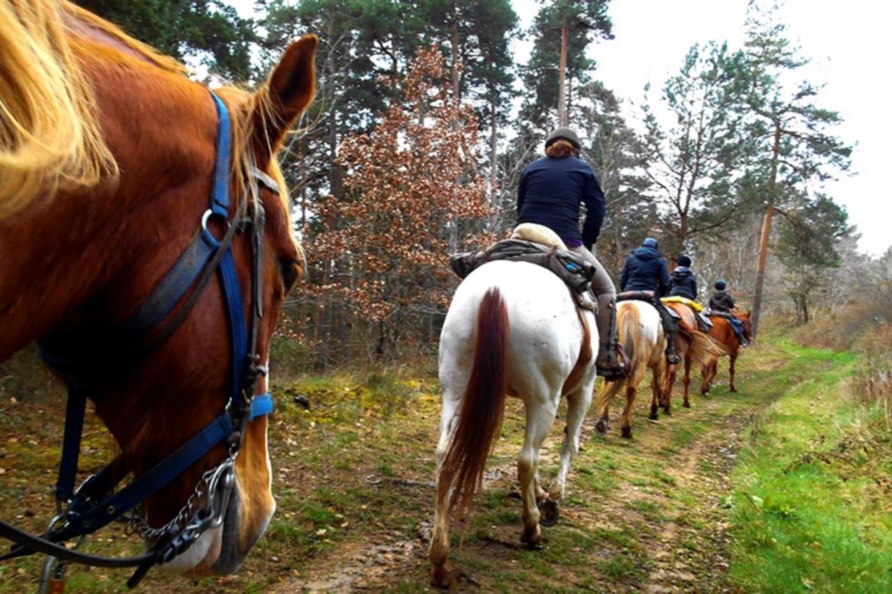 Les Gites Du Val Valprivas Экстерьер фото